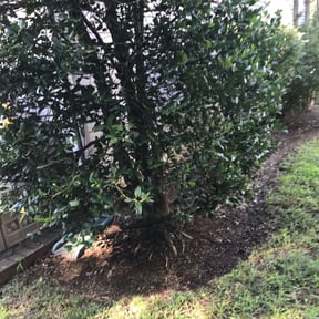 Leaf Removal by Krenik Lawn Services reviewed on April 28, 2025