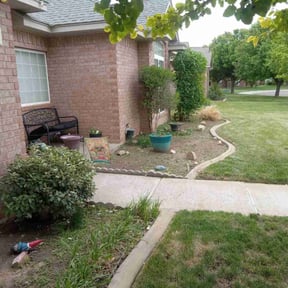 Bush Trimming by Royal Scenery LLC reviewed on August 12, 2021