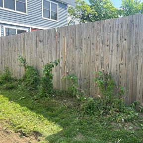 Bush Trimming by Native LandCare LLC reviewed on July 17, 2022