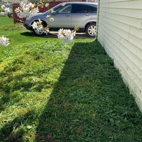 Flower Bed Weeding by LV Lawn Care reviewed on July 10, 2022