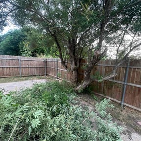 Bush Trimming by All In One Lawn Care reviewed on April 7, 2025