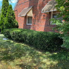 Bush Trimming by Affordable Lawncare Co. reviewed on May 24, 2025
