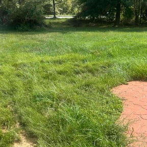 Leaf Removal by Hawkins Landscaping & Construction reviewed on July 1, 2022