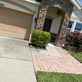 Bush Trimming by Ace lawn service reviewed on June 12, 2022