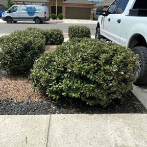 Bush Trimming by Ty-D Landscaping LLC reviewed on May 5, 2022