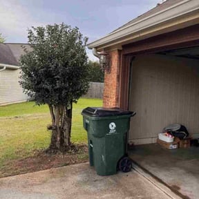 Bush Trimming by Jones Home Services reviewed on June 4, 2025