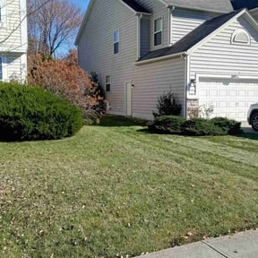 Bush Trimming by Garrett’s Lawn Care reviewed on July 28, 2022