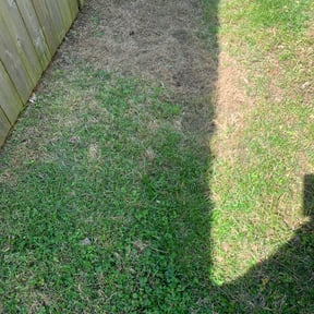 Cleanups by Osborn lawn services reviewed on December 23, 2024