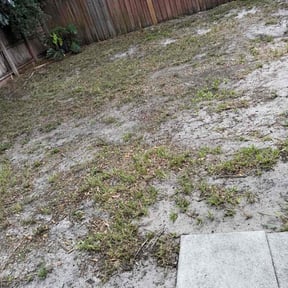 Leaf Removal by Morgan Henry Lawn Care reviewed on April 20, 2023
