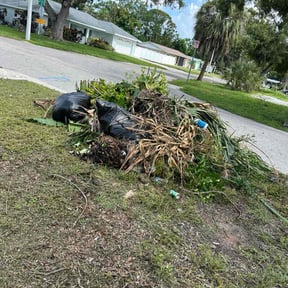 Leaf Removal by Robert Lee reviewed on November 3, 2022