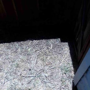 Bush Trimming by A Man and His Machines Lawn Services LLC reviewed on June 14, 2022