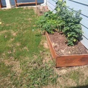 Weeding by Terra Masters Landscape reviewed on May 17, 2022