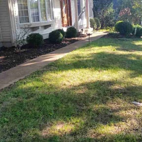Leaf Removal by Slaughter Lawn Care reviewed on July 2, 2022