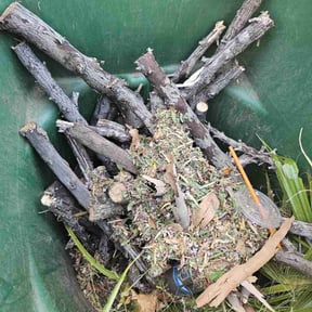 Cleanups by Oceania Solutions LLC reviewed on May 20, 2022
