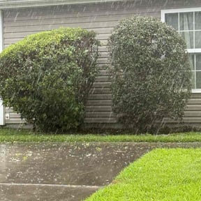 Bush Trimming by Buckeye lawn maint reviewed on November 29, 2021