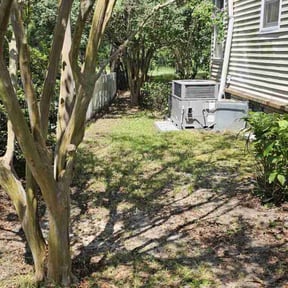 Bush Trimming by Land-Co reviewed on June 8, 2022