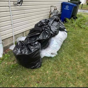 Cleanups by K’S Up landscaping reviewed on August 1, 2022