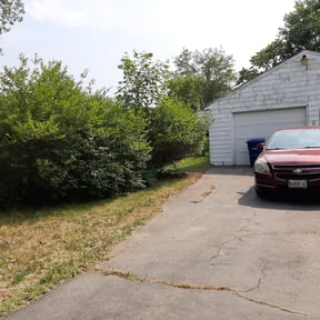 Bush Trimming by Leo's lawncare reviewed on April 20, 2022