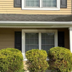 Bush Trimming by Dabbic Lawn Care LLC reviewed on May 18, 2022