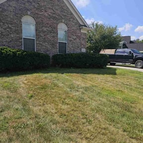 Bush Trimming by Tim's Discount Lawn reviewed on June 18, 2022