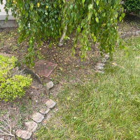 Flower Bed Weeding by B&SS reviewed on May 31, 2022