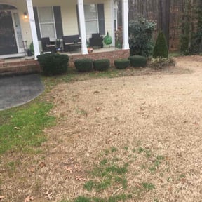 Bush Trimming by Our Vision Media LLC reviewed on August 7, 2024