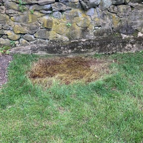 Cleanups by Fairwood Landscape reviewed on June 3, 2022
