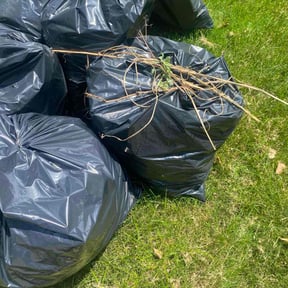 Leaf Removal by Muhammad family all season pros reviewed on July 21, 2022