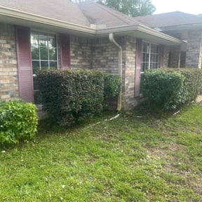 Bush Trimming by XPRESS LAWN CARE reviewed on July 14, 2022