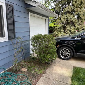 Bush Trimming by A+ Lamonds lawn&landscape reviewed on August 5, 2022