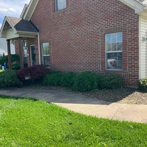 Bush Trimming by JBI Property Service LLC reviewed on July 22, 2025