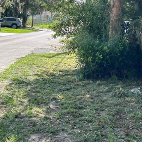 Leaf Removal by Landsk8pe Tech’s reviewed on August 27, 2024