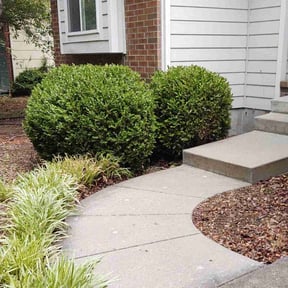 Bush Trimming by Integrity Lawn Care reviewed on March 29, 2022