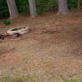 Cleanups by C &amp; D Lawn Care reviewed on August 5, 2025