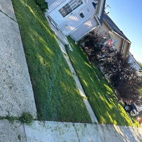 Cleanups by Jerrel's Handyman & Lawn Service LLC reviewed on July 26, 2022
