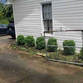 Bush Trimming by Outsiders Landscape Co. LLC reviewed on July 30, 2022