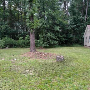 Bush Trimming by SRH Lawn and Shrubs reviewed on May 12, 2025