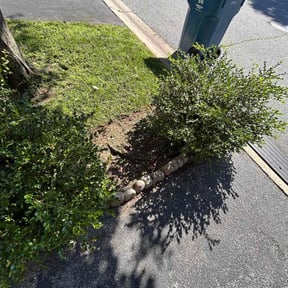 Flower Bed Weeding by Lawn Pro reviewed on July 15, 2022