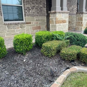 Flower Bed Weeding by LSLTDallas/FortWorthTruGreen reviewed on March 11, 2025