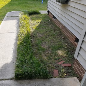 Flower Bed Weeding by Davis Property Maintenance reviewed on June 16, 2022