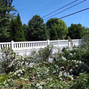 Bush Trimming by Howard Landscaping reviewed on August 3, 2025