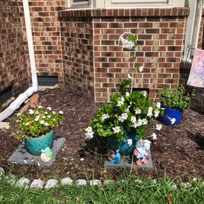 Flower Bed Weeding by Mow-Mentous Lawn Service reviewed on July 9, 2025