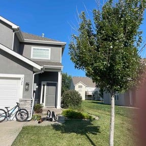 Bush Trimming by Elite Lawn Service LLC reviewed on August 22, 2021