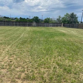 Bush Trimming by BSM &amp; Co. Landscaping reviewed on April 5, 2025