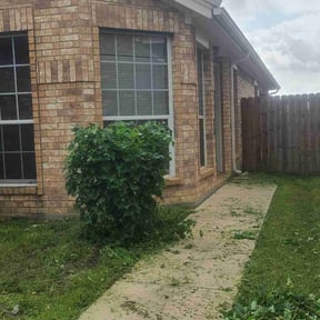 Bush Trimming by UnlimitedGroundCare. reviewed on August 1, 2024