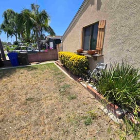 Bush Trimming by Jays lawn care reviewed on July 26, 2022
