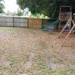 Cleanups by Tidewater Lawn Solutions, LLC reviewed on June 22, 2022