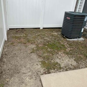 Leaf Removal by Field of Dreams Landscaping reviewed on August 8, 2025