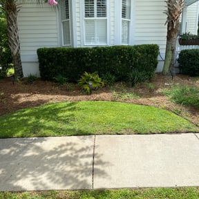 Bush Trimming by #1 grass man reviewed on May 4, 2025