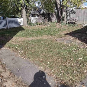 Cleanups by RodrÃguez Lawn Care reviewed on May 11, 2022